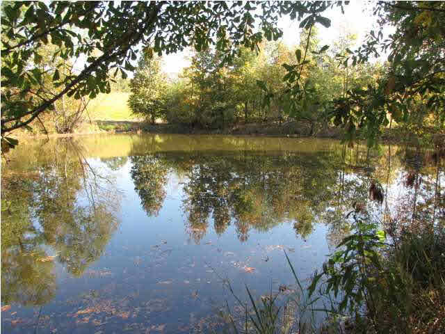4992 Myers Road Terry, MS 39170 - Photo 15 of 18 Photo 15
