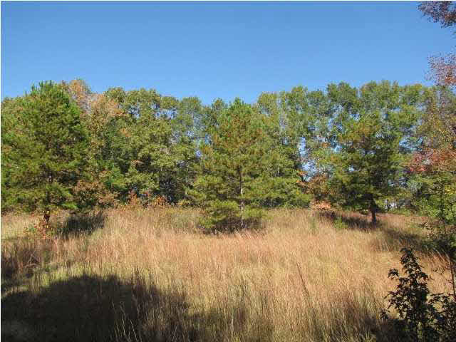 4992 Myers Road Terry, MS 39170 - Photo 16 of 18 Photo 16
