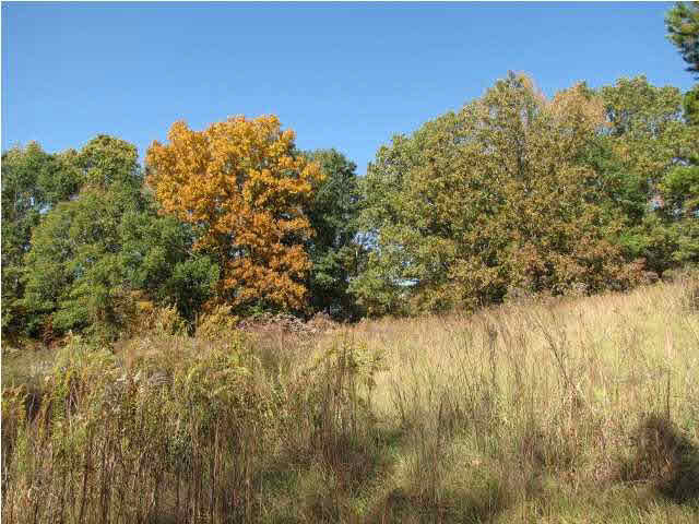 4992 Myers Road Terry, MS 39170 - Photo 18 of 18 Photo 18