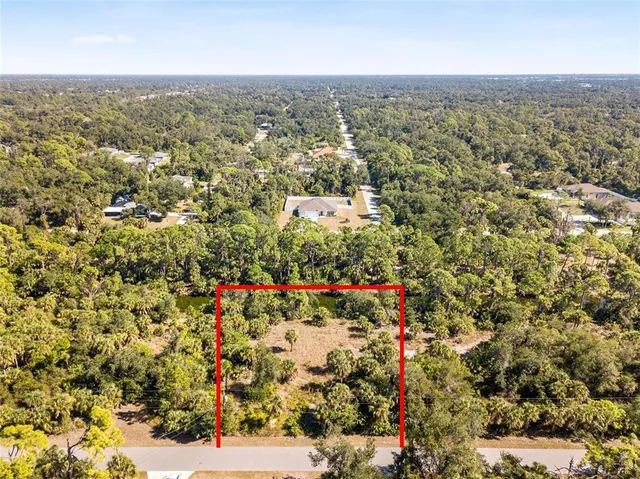 a view of a bunch of trees