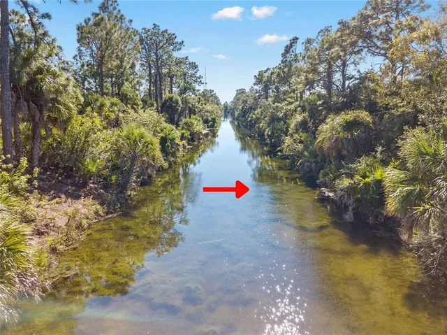 a view of the garden