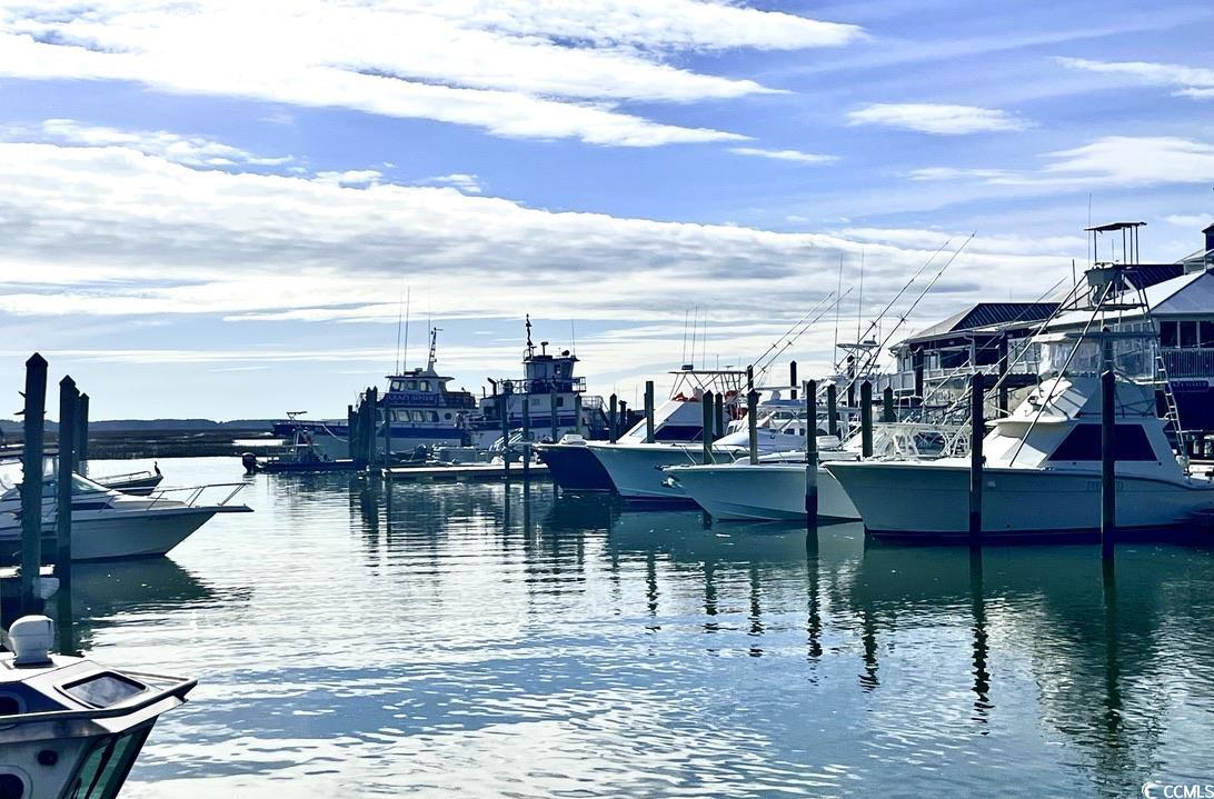 108 Hallandale Lane Murrells Inlet, SC 29576 - Photo 24 of 28