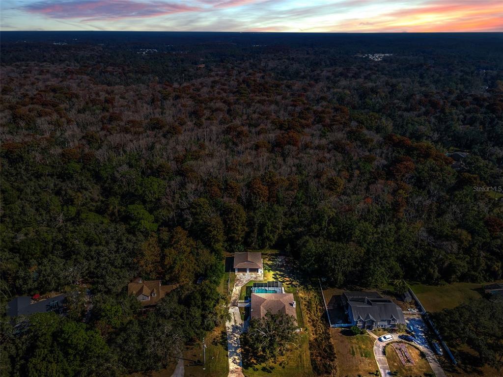 10639 Lakeview Drive New Port Richey, FL 34654 - Photo 2 of 58