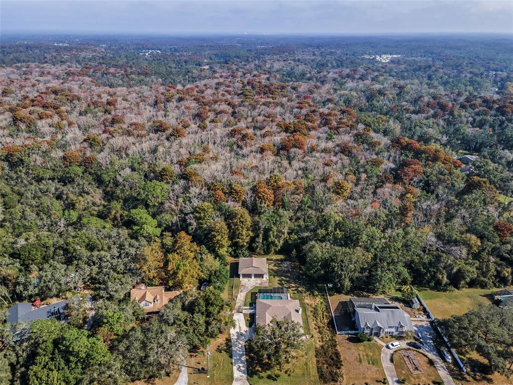 10639 Lakeview Drive New Port Richey, FL 34654 - Photo 27 of 58