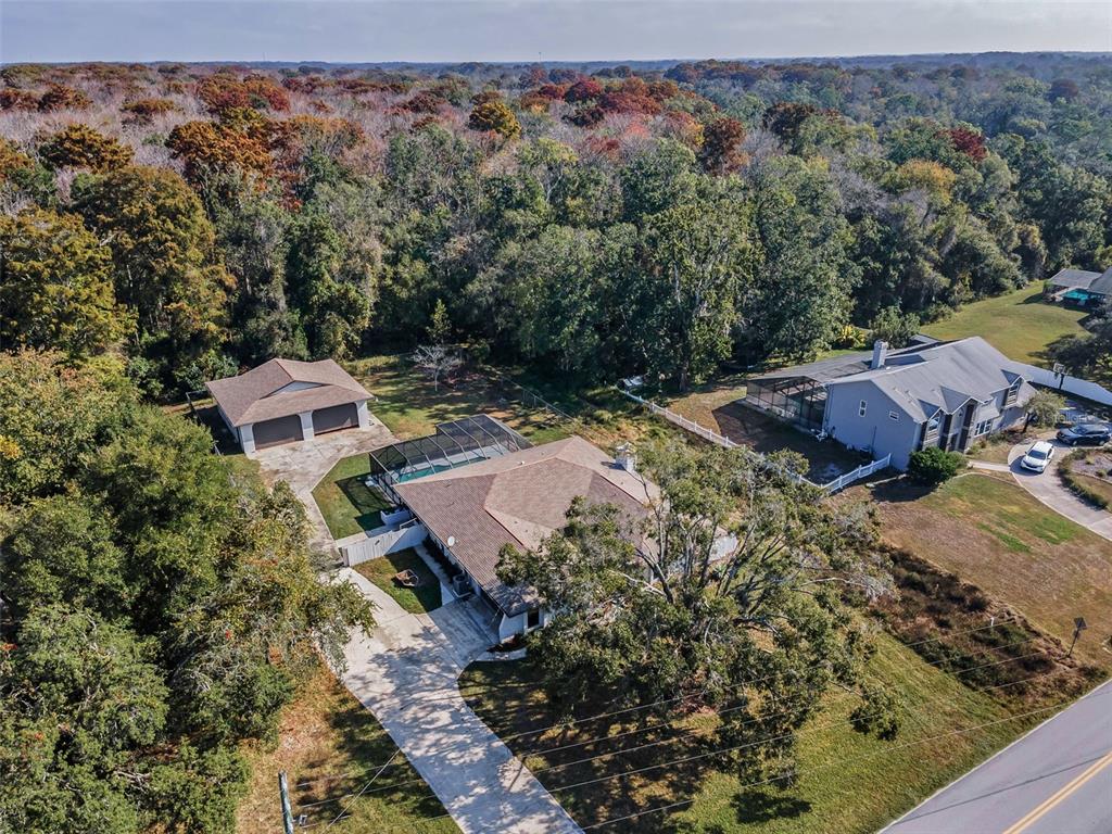 10639 Lakeview Drive New Port Richey, FL 34654 - Photo 29 of 58