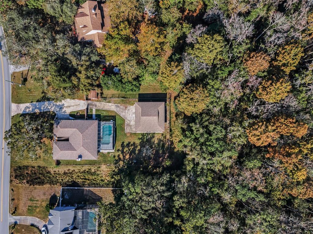 10639 Lakeview Drive New Port Richey, FL 34654 - Photo 30 of 58