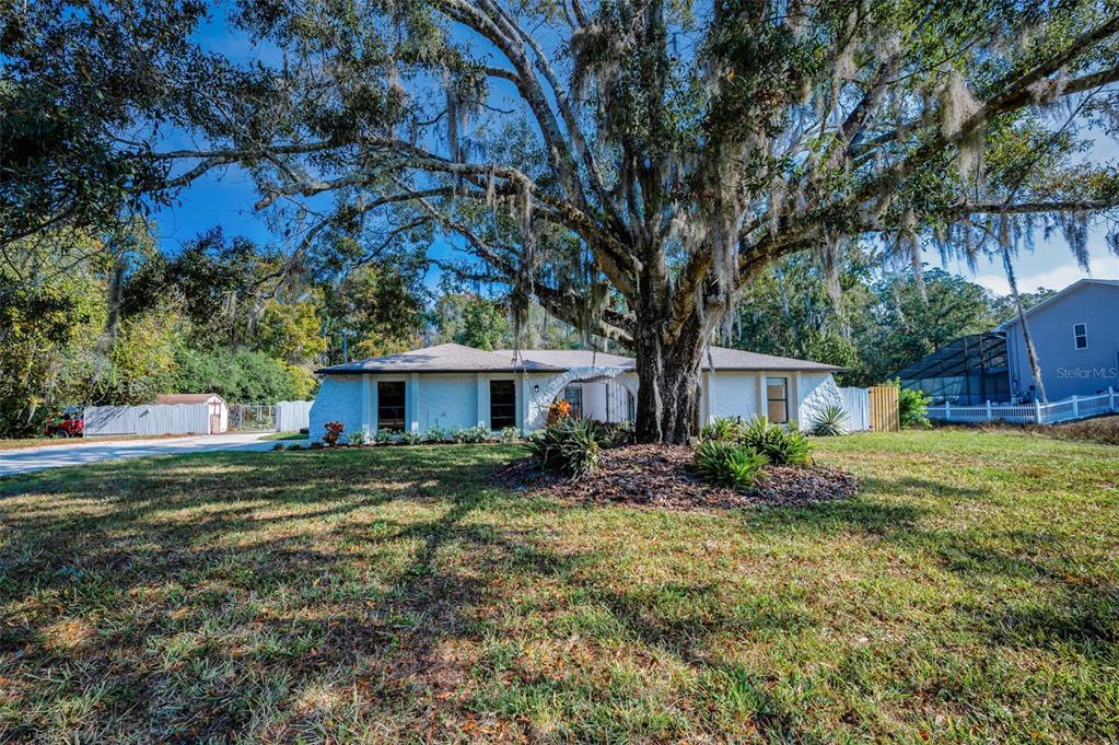 10639 Lakeview Drive New Port Richey, FL 34654 - Photo 3 of 58