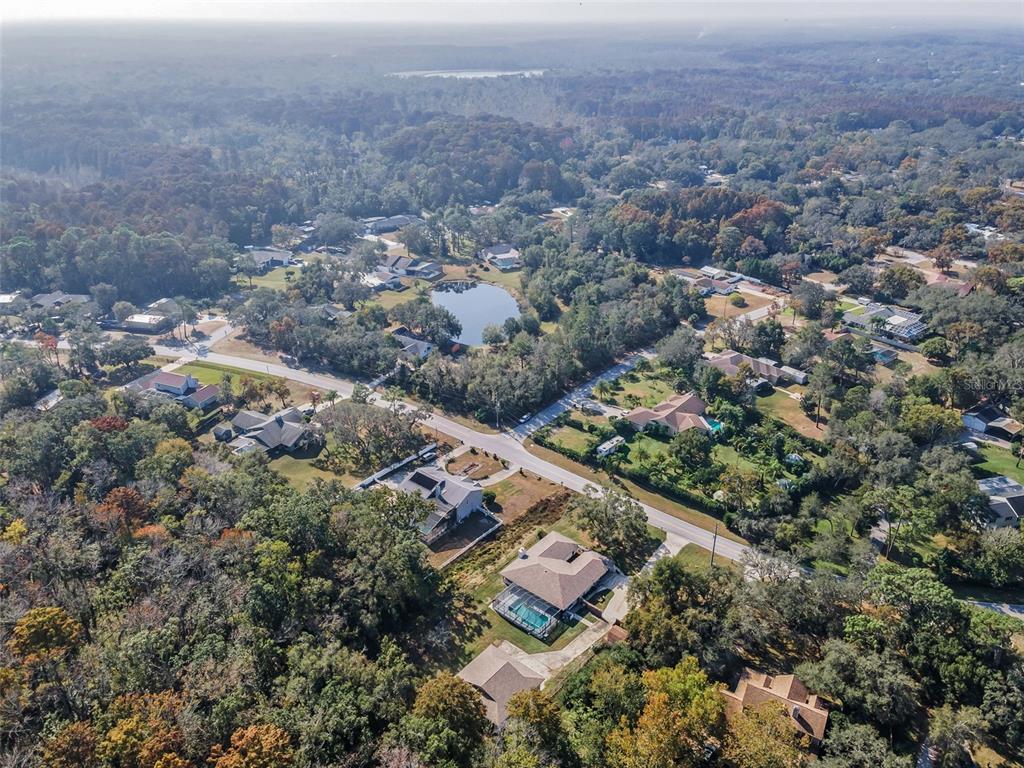 10639 Lakeview Drive New Port Richey, FL 34654 - Photo 55 of 58