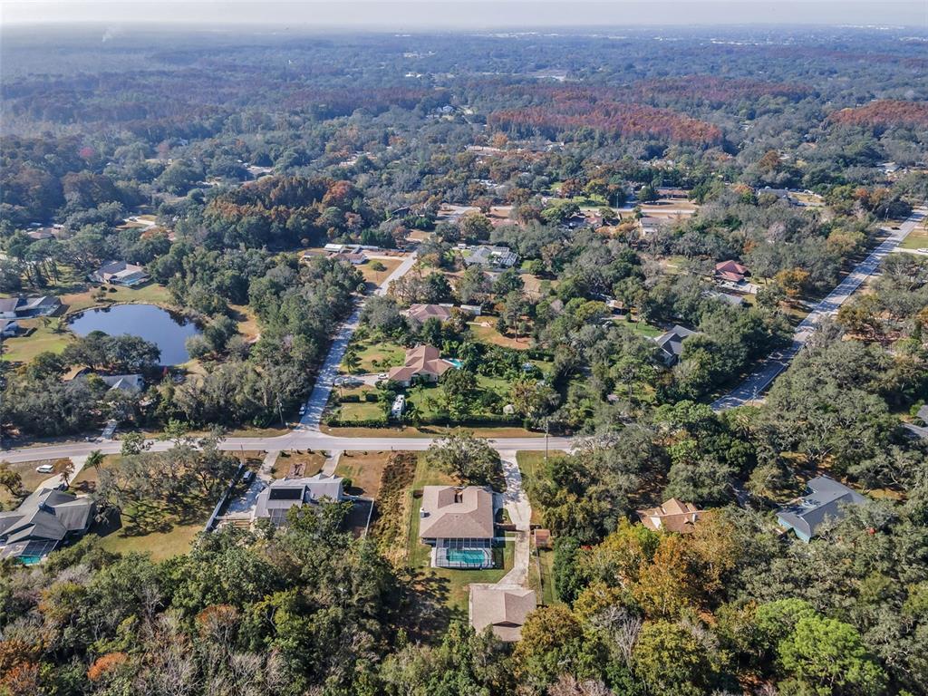 10639 Lakeview Drive New Port Richey, FL 34654 - Photo 56 of 58