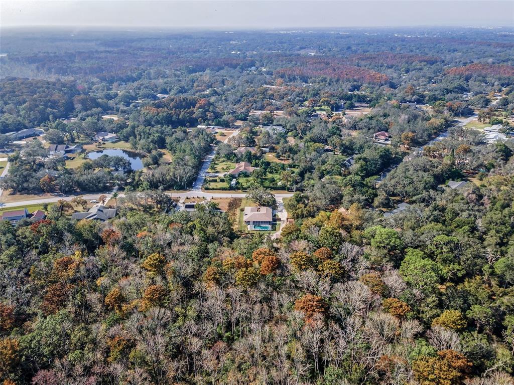 10639 Lakeview Drive New Port Richey, FL 34654 - Photo 57 of 58