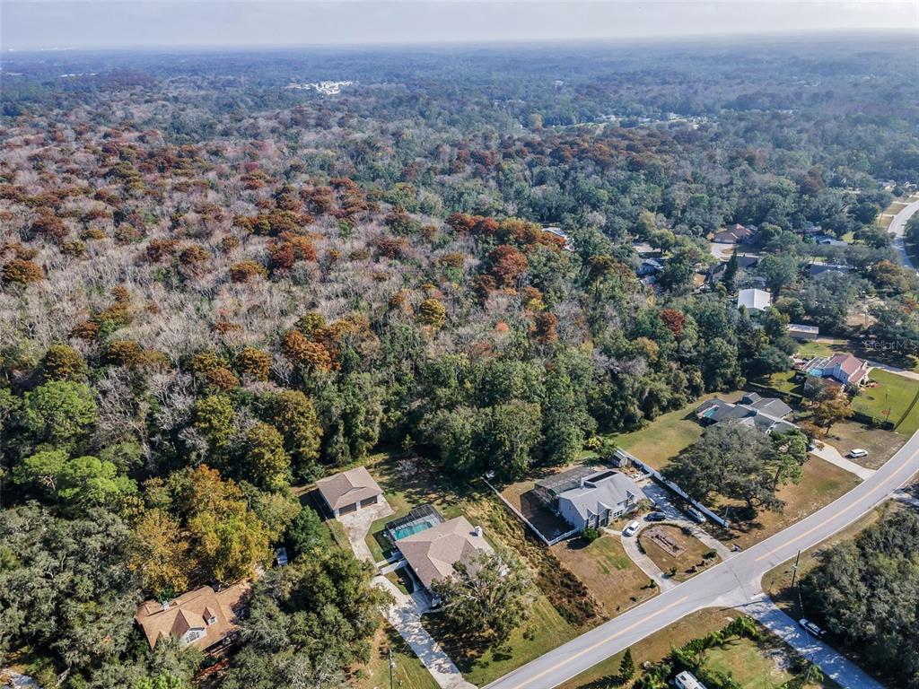 10639 Lakeview Drive New Port Richey, FL 34654 - Photo 58 of 58