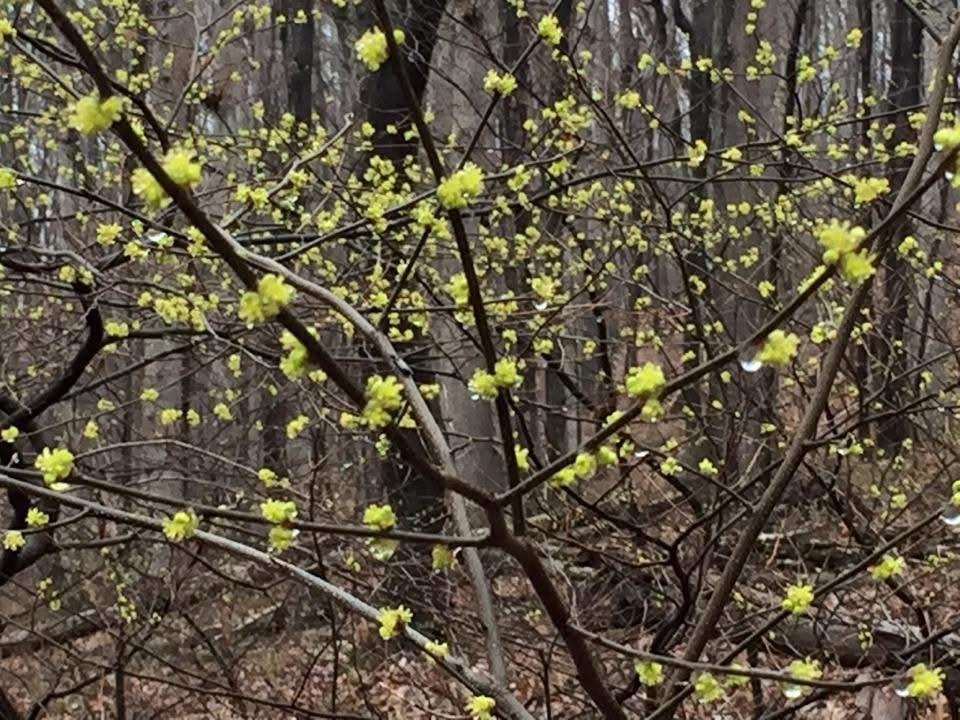 Tbd Round Hill School Road Fort Defiance, VA 24437 - Photo 3 of 7