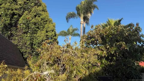 an aerial view of residential houses with city view
