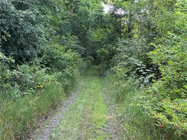 $15,000 | 0 State Route 224, Odessa, NY 14869