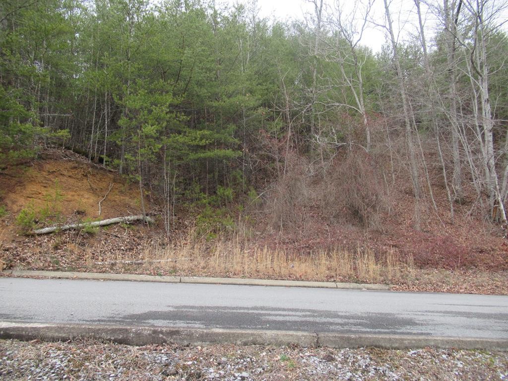 156 Bear Valley Road Sevierville, TN 37876 - Photo 1 of 15