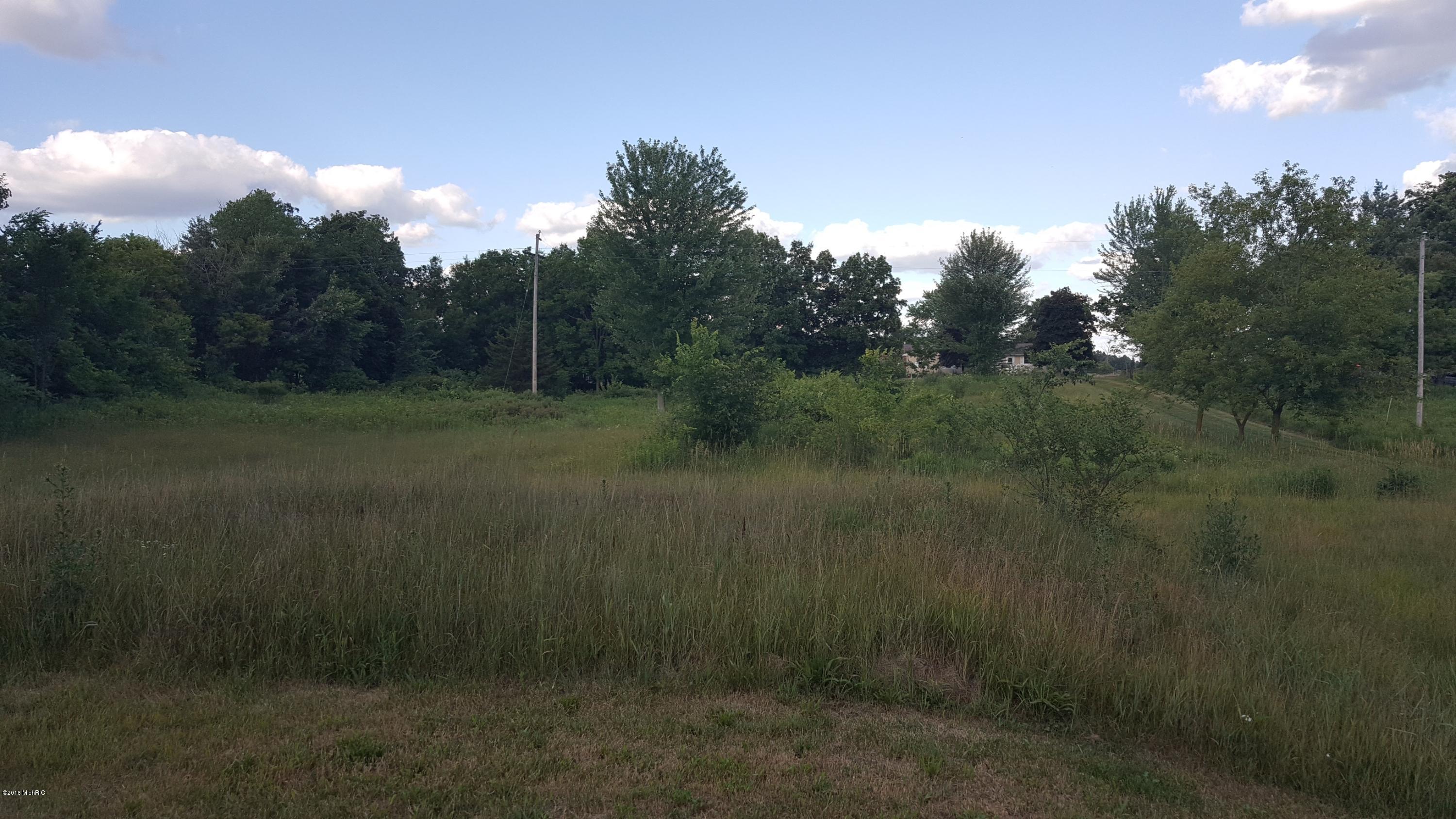 10556 Woodbridge Road Camden, MI 49232 - Photo 18 of 20 20160701_191229
