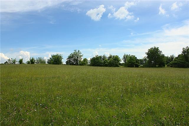 2 Washington Road Greenbrier, TN 37073 - Photo 3 of 6