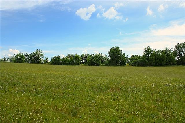 2 Washington Road Greenbrier, TN 37073 - Photo 4 of 6