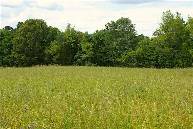 2 Washington Road Greenbrier, TN 37073 - Photo 5 of 6