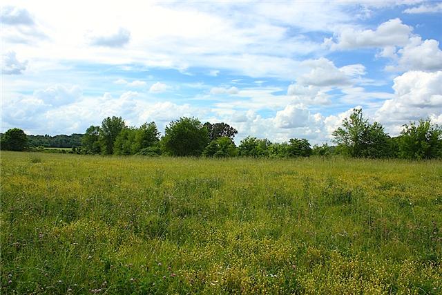 2 Washington Road Greenbrier, TN 37073 - Photo 6 of 6