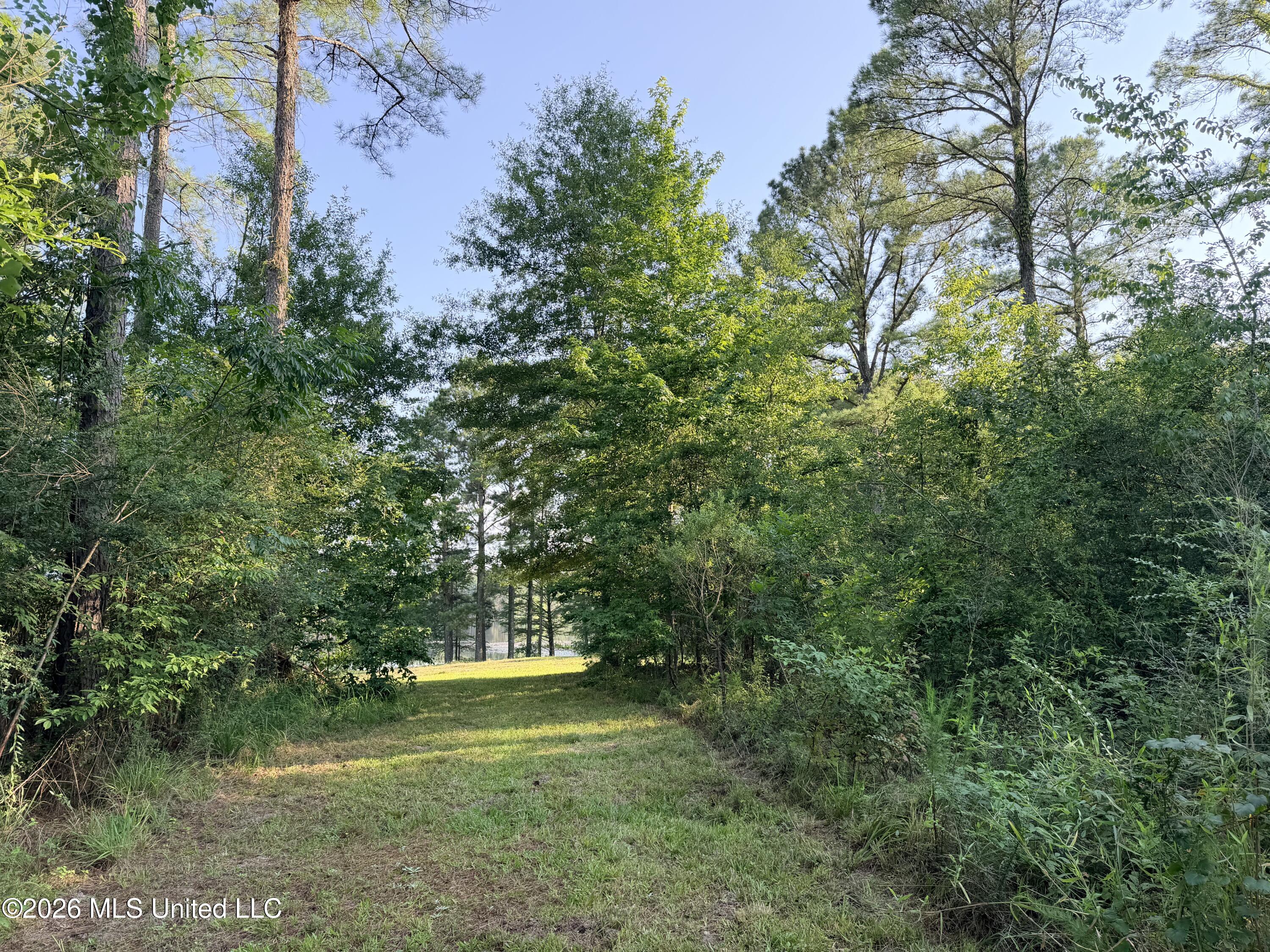 Lake Springwater Drive Brandon, MS 39042 - Photo 10 of 10 IMG_3636