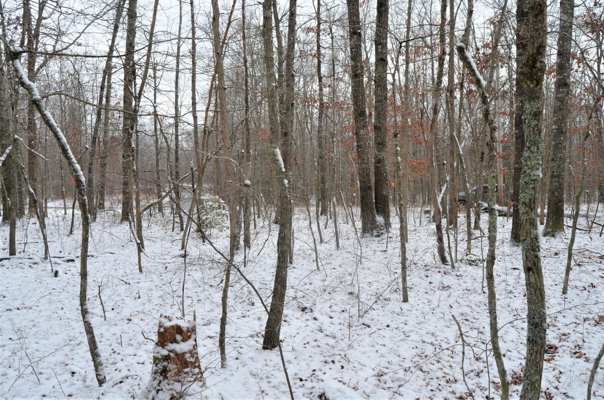 750 West Creston Road Crossville, TN 38571 - Photo 28 of 29 Gallery Image 28