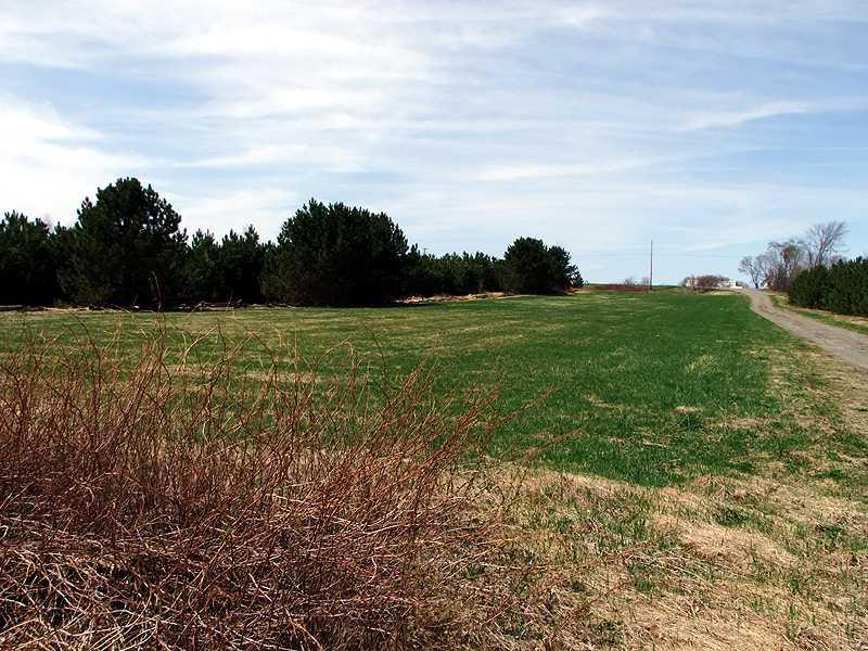 341 Carson Road Littleton, ME 04730 - Photo 8 of 33 Land.