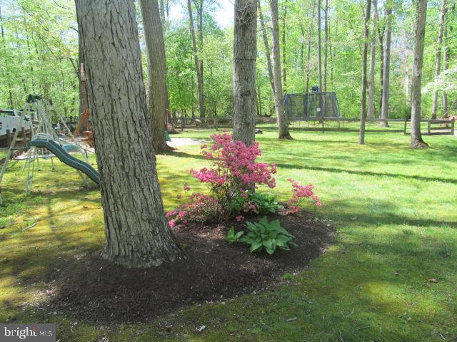 25632 Brookwood Road Greensboro, MD 21639 - Photo 3 of 42 Gallery Image 3