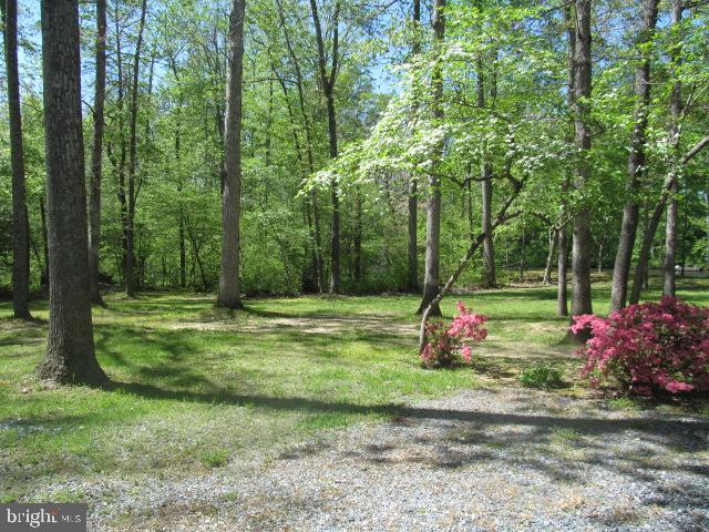 25632 Brookwood Road Greensboro, MD 21639 - Photo 6 of 42 Gallery Image 6