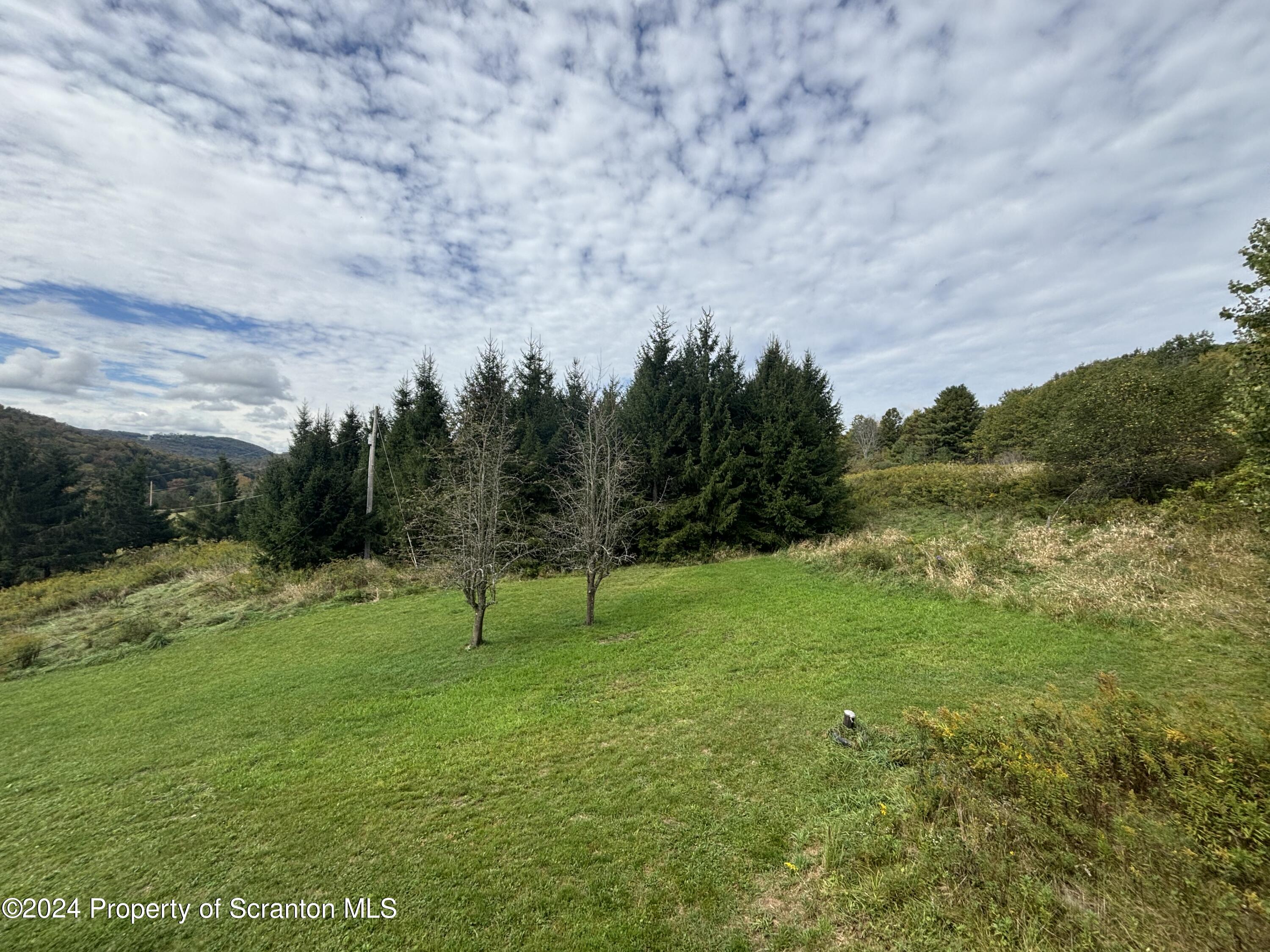 2053 Silver Creek Road Montrose, PA 18801 - Photo 10 of 10 a view of park