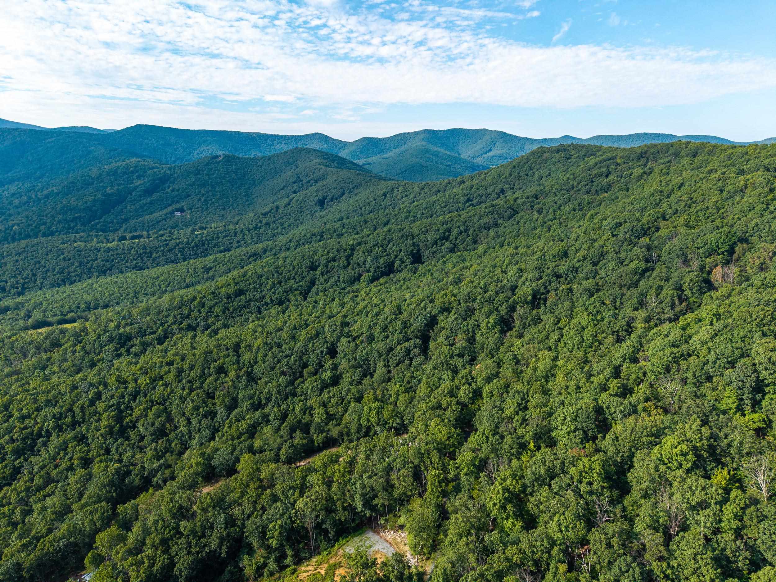 0 Roundhead Mountain Road Stanley, VA 22851 - Photo 13 of 43 Gallery Image 13