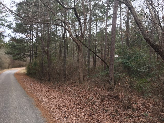 3250 Bahalia Road Northeast Wesson, MS 39191 - Photo 1 of 1 Main View