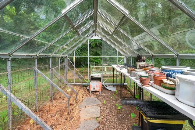a view of a yard with plants