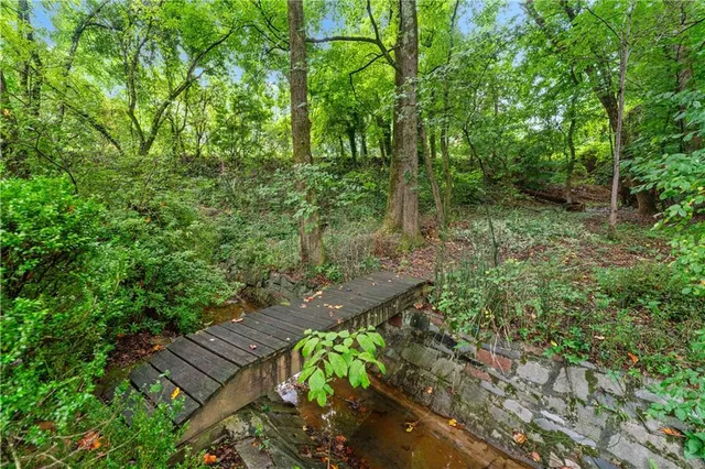 a view of a lush green forest with lots of trees