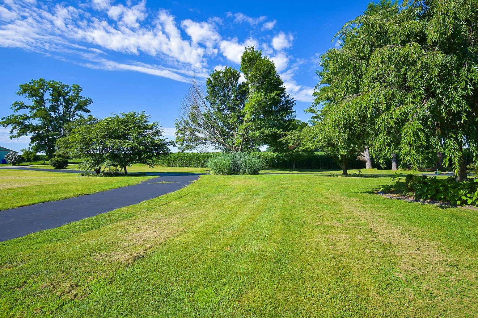 10814 Clarksville Road Olmstead, KY 42265 - Photo 50 of 55 a view of a volley ball court