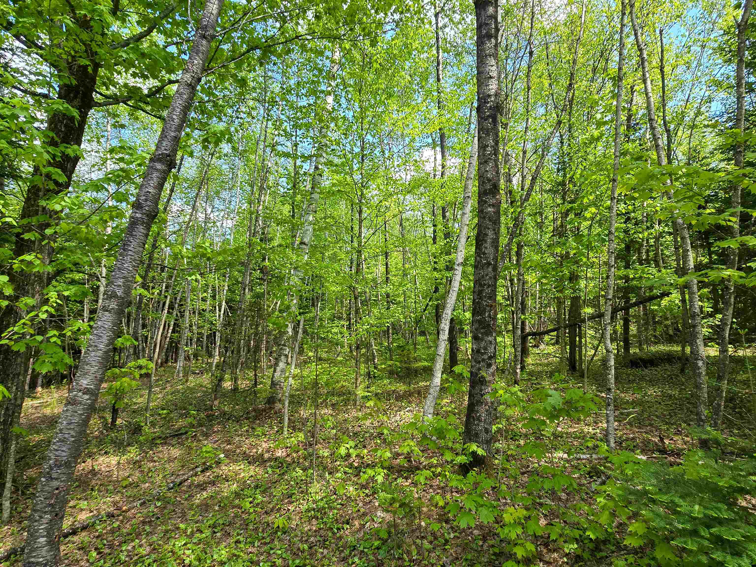 990 Daniels Road West Albany, VT 05845 - Photo 36 of 40
