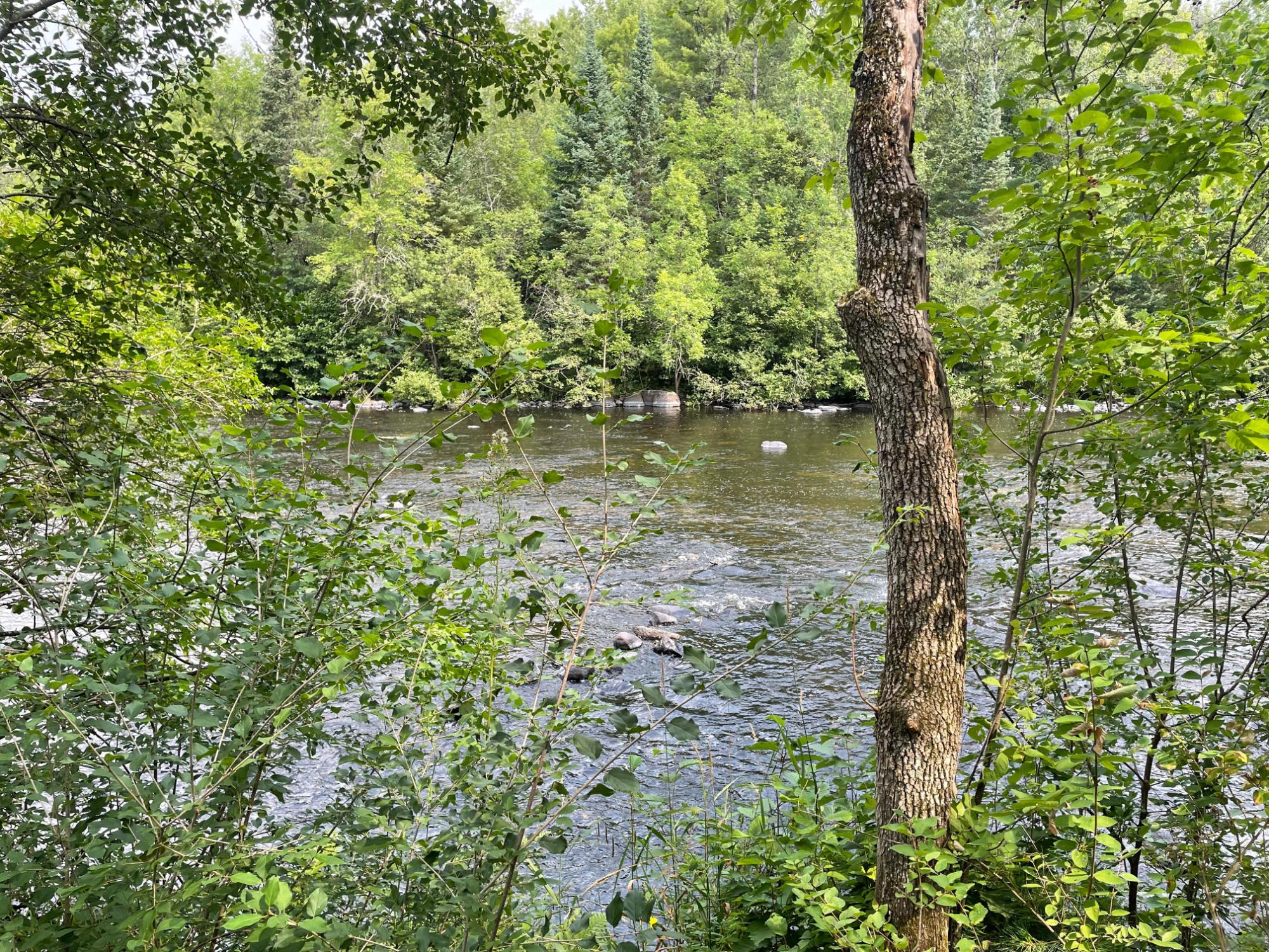 N14396 Krucky Road Fifield, WI 54524 - Photo 20 of 23 Gallery Image 20