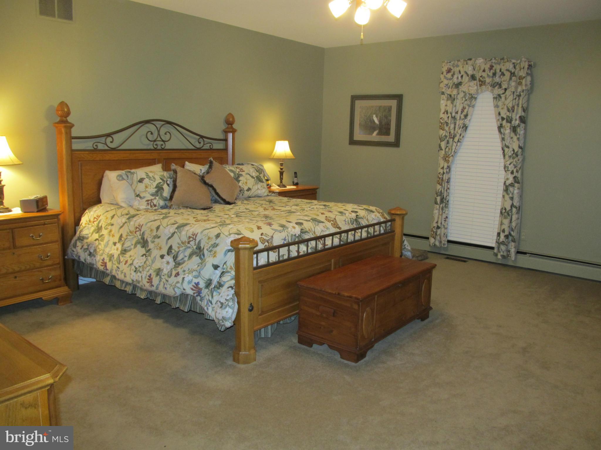 6315 Davis Road Mount Airy, MD 21771 - Photo 17 of 25 Bedroom (Master)