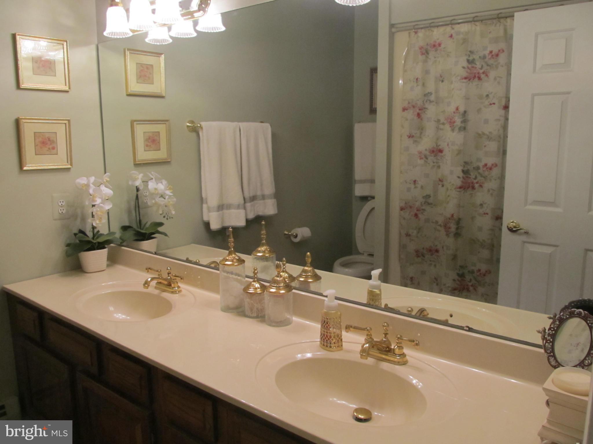 6315 Davis Road Mount Airy, MD 21771 - Photo 19 of 25 Bath (Master)