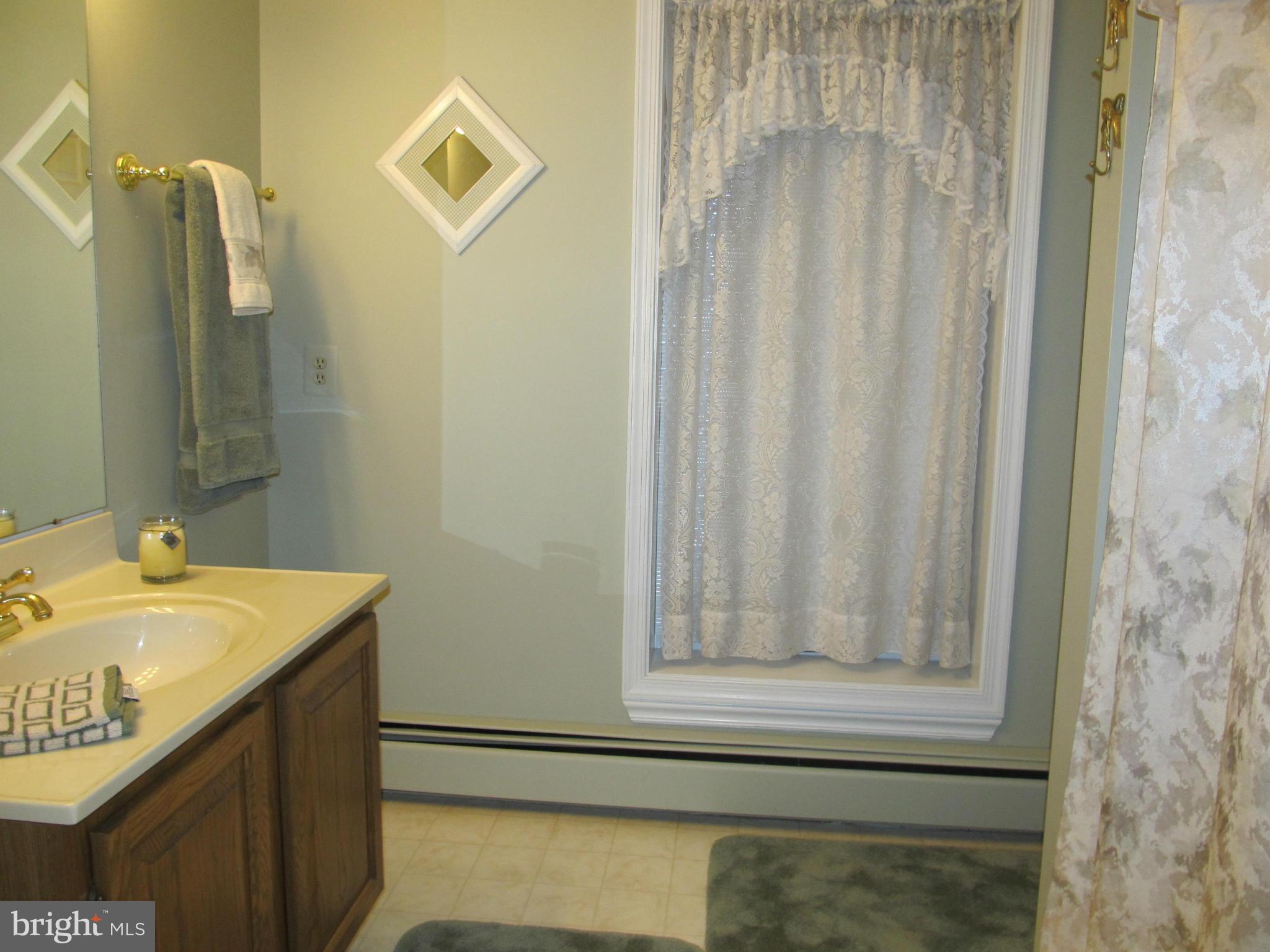 6315 Davis Road Mount Airy, MD 21771 - Photo 25 of 25 Bath