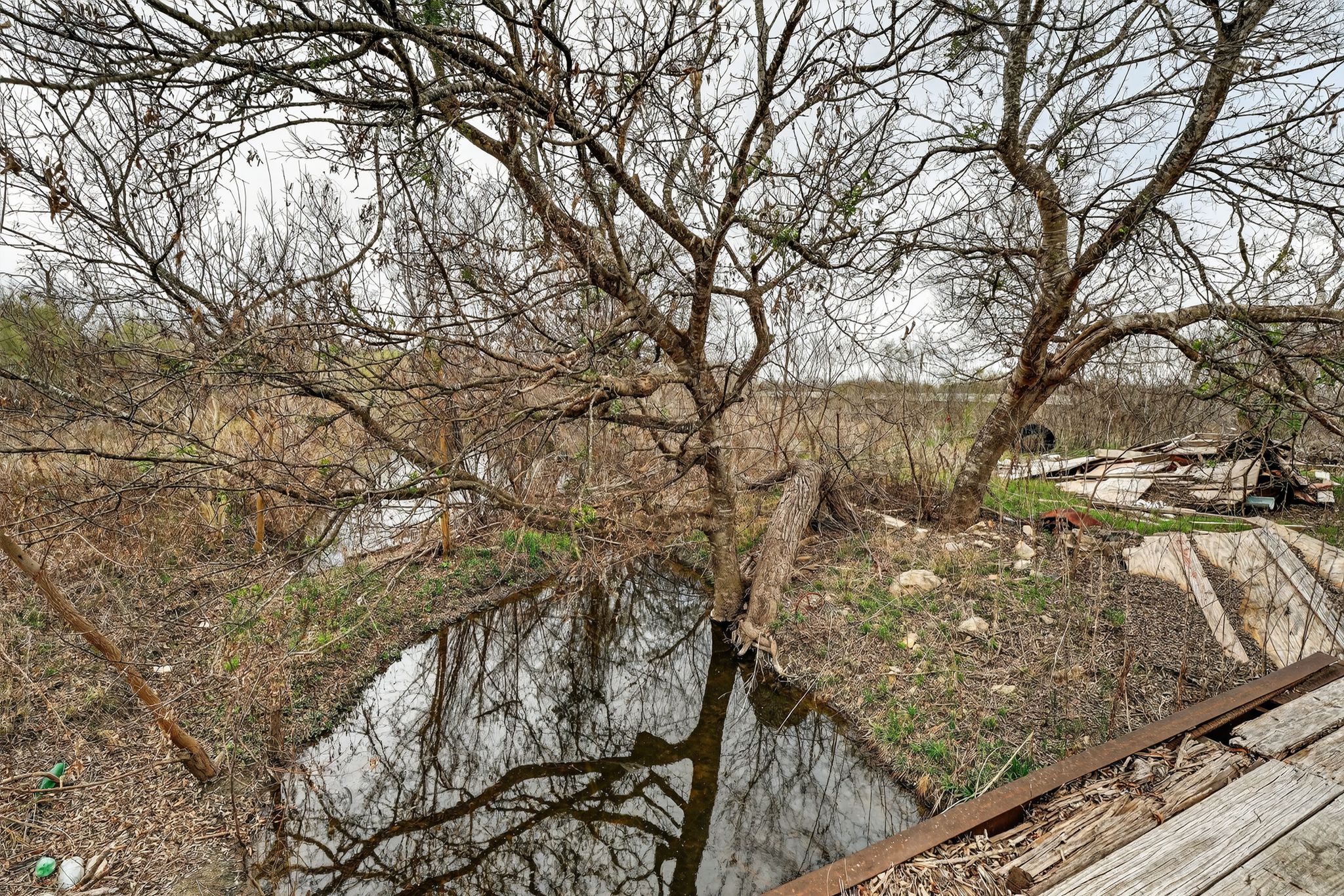 11223 Tom Sassman Road Austin, TX 78747 - Photo 30 of 40 View of undeveloped land