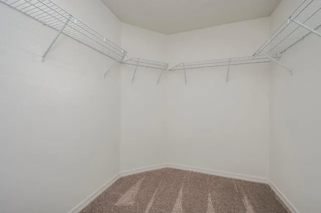 a view of a room with racks on the wall
