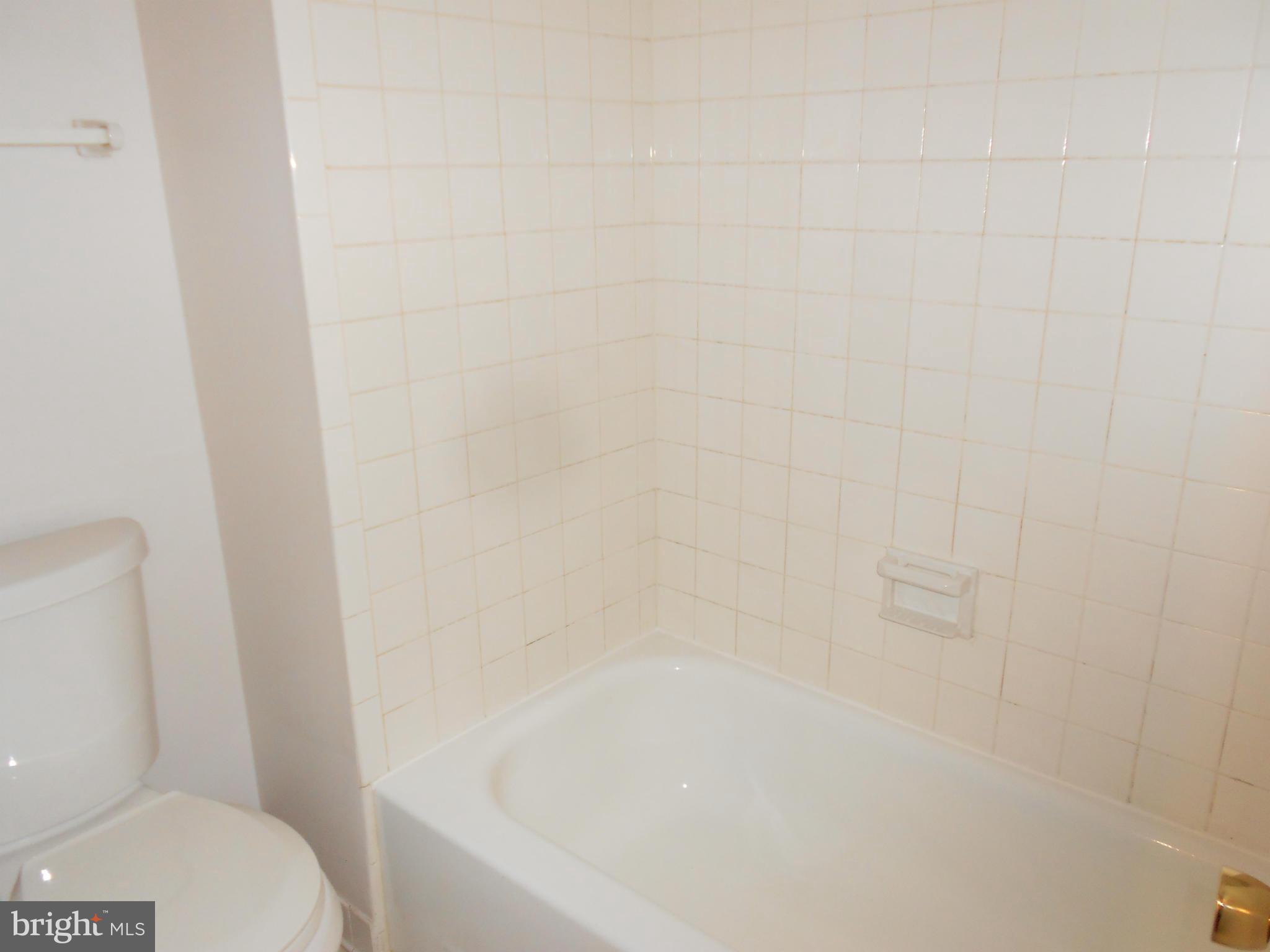 5235 West Running Brook Road, Unit 101 Columbia, MD 21044 - Photo 12 of 15 Bath (Master)