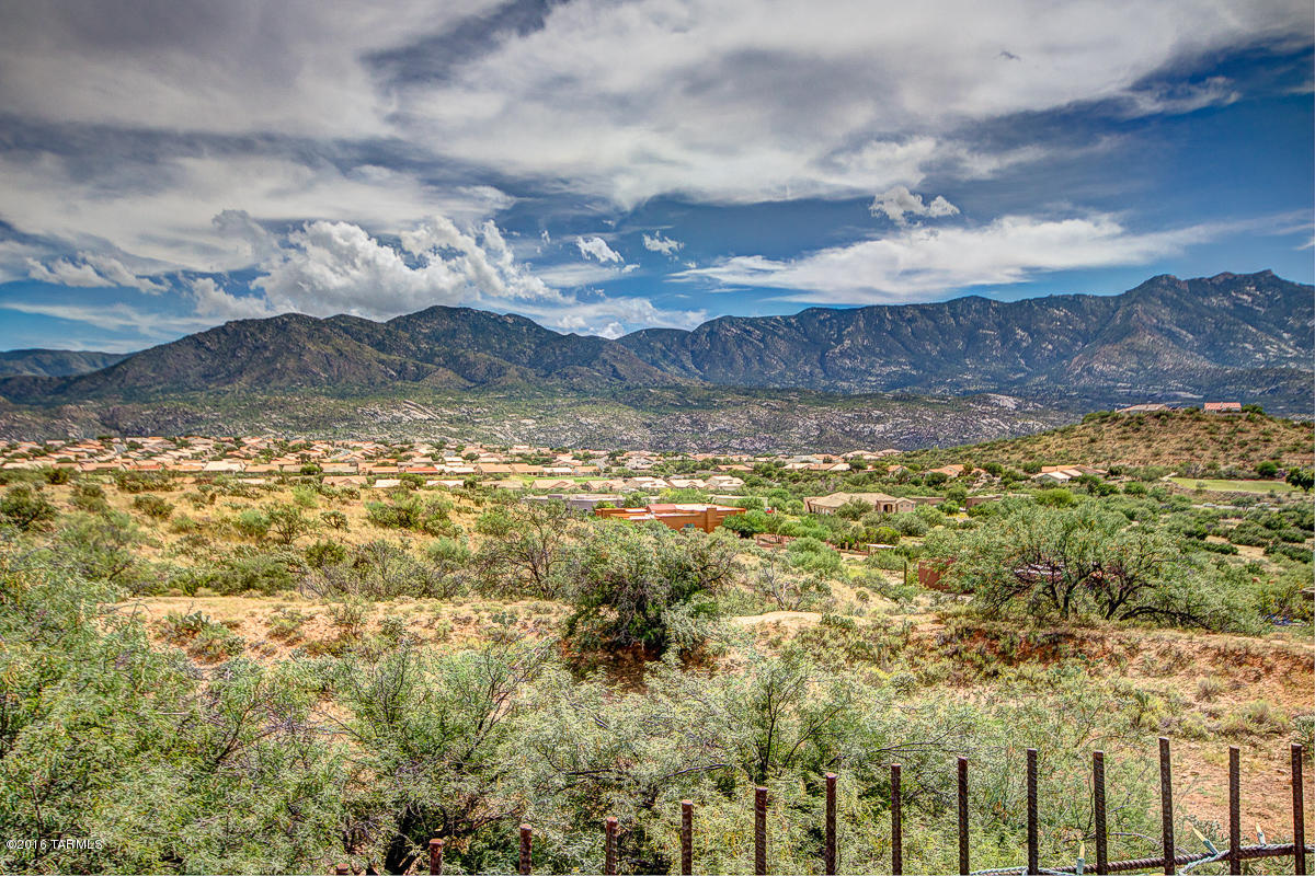 36435 South Lexi Way Tucson, AZ 85739 - Photo 47 of 50