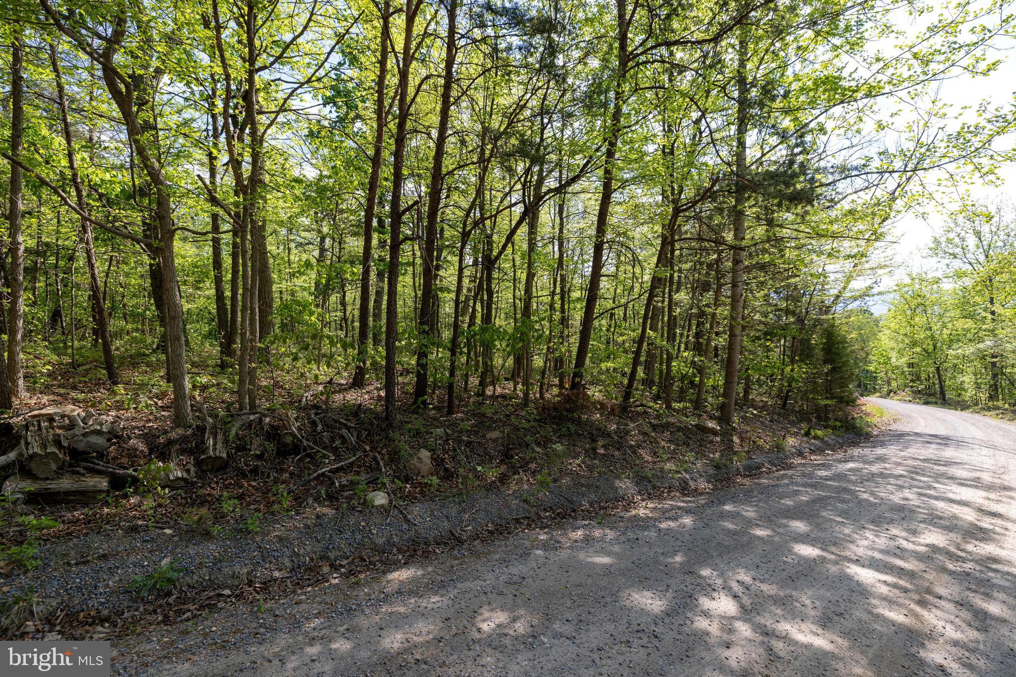 H49 Cross Creek Road Luray, VA 22835 - Photo 31 of 46 a view of outdoor space and green space