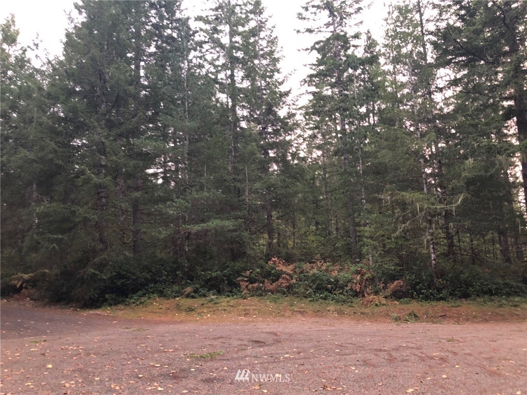 -2 Lots East Arellem Road Union, WA 98592 - Photo 1 of 3 Gallery Image 1
