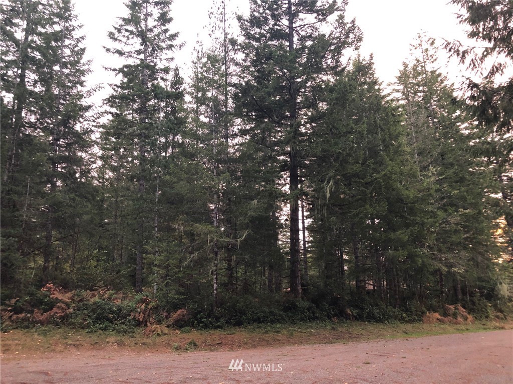 -2 Lots East Arellem Road Union, WA 98592 - Photo 2 of 3 Gallery Image 2