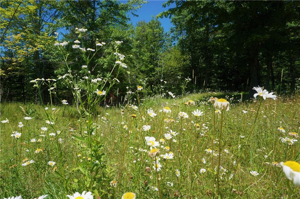 573 Pinkham Brook Road Durham, ME 04222 - Photo 9 of 35 Photo