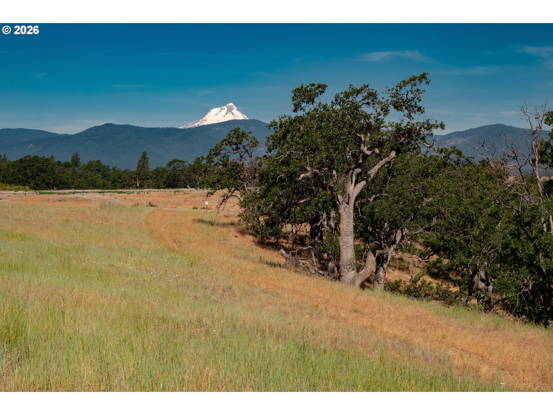 Wamic Market Road Tygh Valley, OR 97063 - Photo 8 of 18