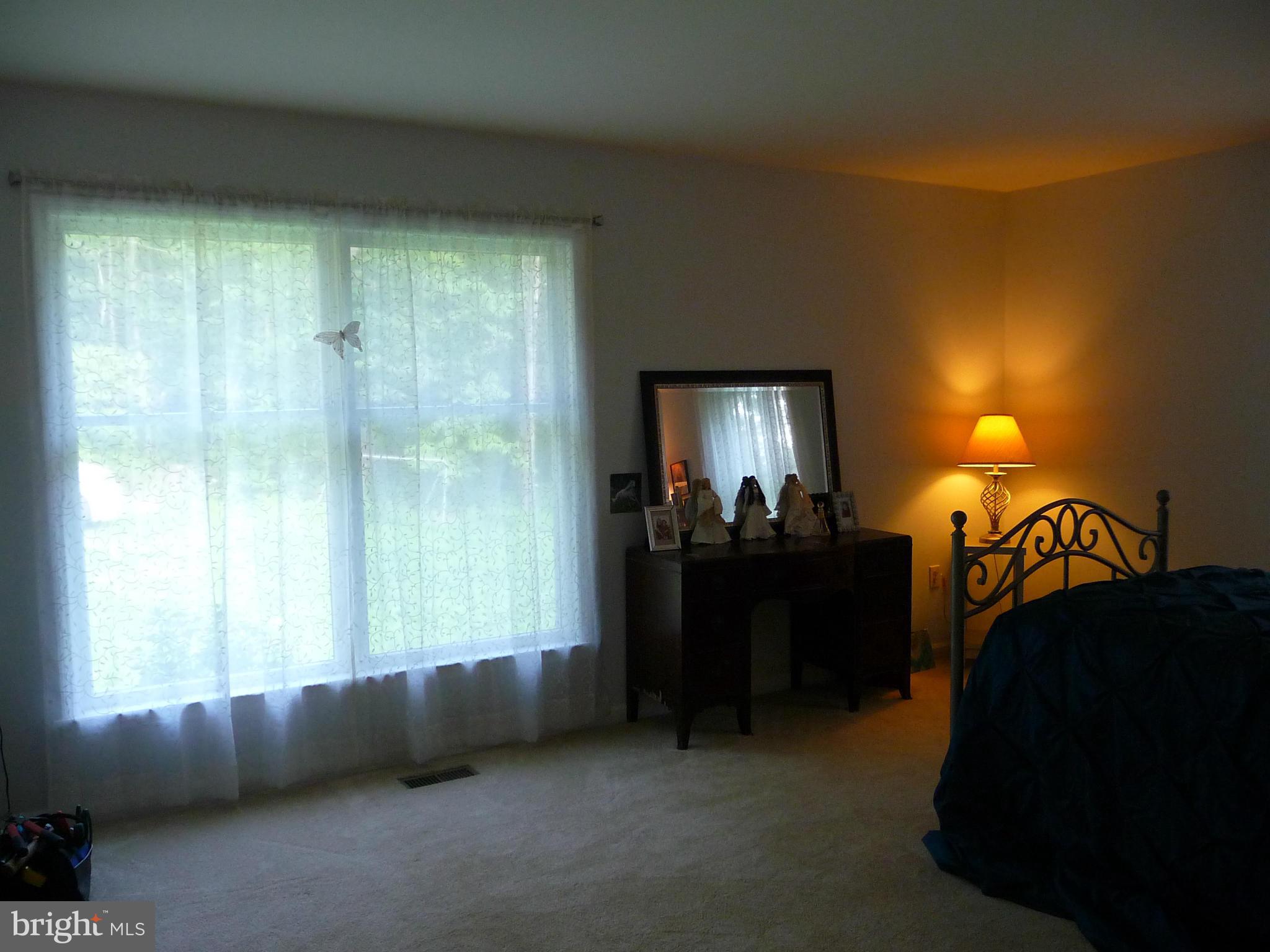 7349 Eggbornsville Road Rixeyville, VA 22737 - Photo 12 of 21 Bedroom (Master)